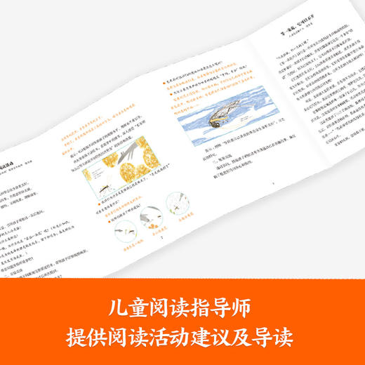 【精装】等一朵花开 商品图5