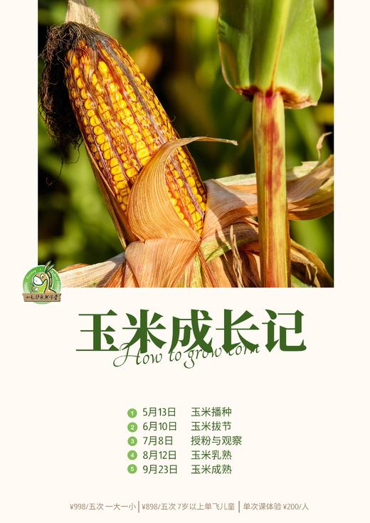 农事活动 | 玉米系列营 商品图0