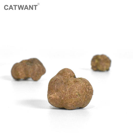 猫咪旺 虫瘿果鲜果冻干 猫咪快乐果实 酥脆可咬 商品图3