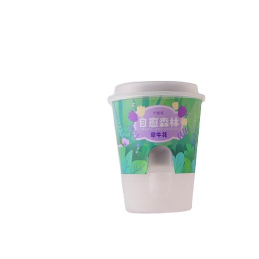 小花农桌面盆栽自愈森林系列创意礼品趣味办公桌绿植摆件 商品图4