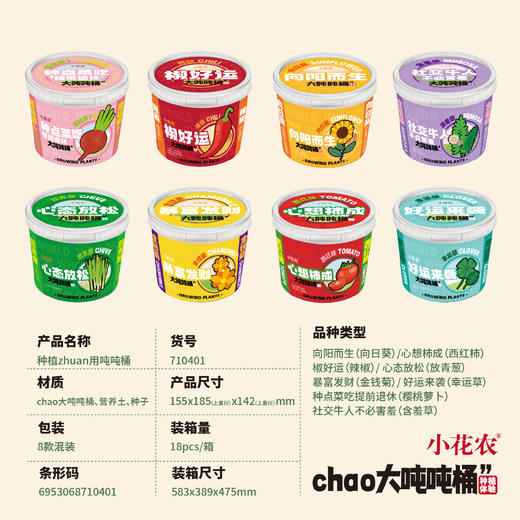 小花农超大吨吨桶种植盆栽幼儿园手工向日葵草莓diy养花养草礼物 商品图5