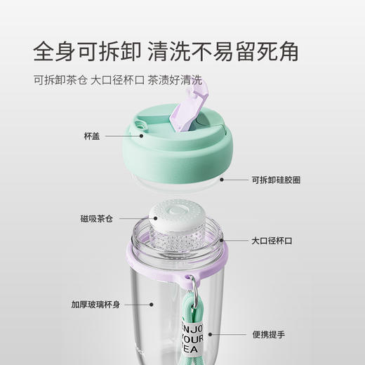乐扣乐扣（LOCK&LOCK）磁弹水杯玻璃杯耐热茶水分离LLG953 商品图4