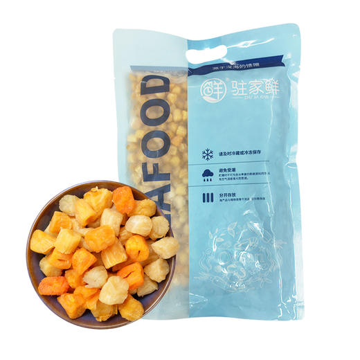 【湛江帮扶】驻家鲜 干贝 500g 商品图0