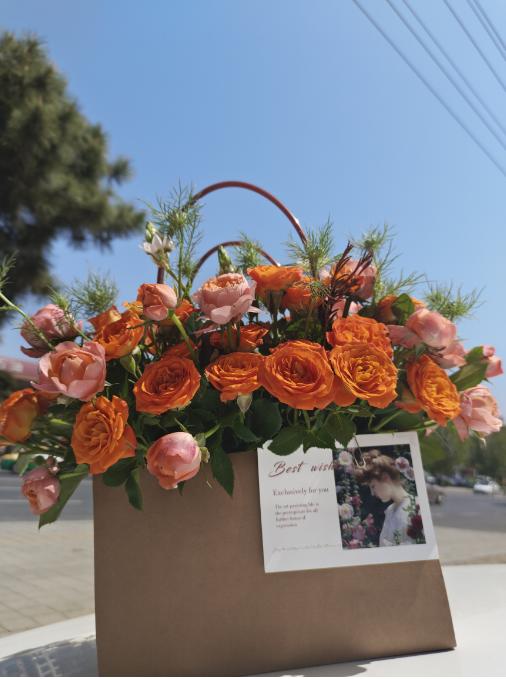 手拎兜版橙色芭比（拼团） 商品图3