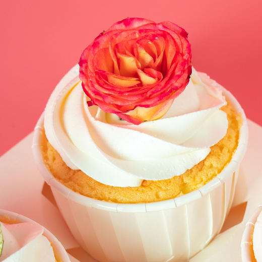 四季与你 商品图1