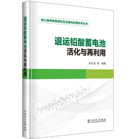 退运铅酸蓄电池活化与再利用/电力废弃物资源化及无害化应用技术丛书
