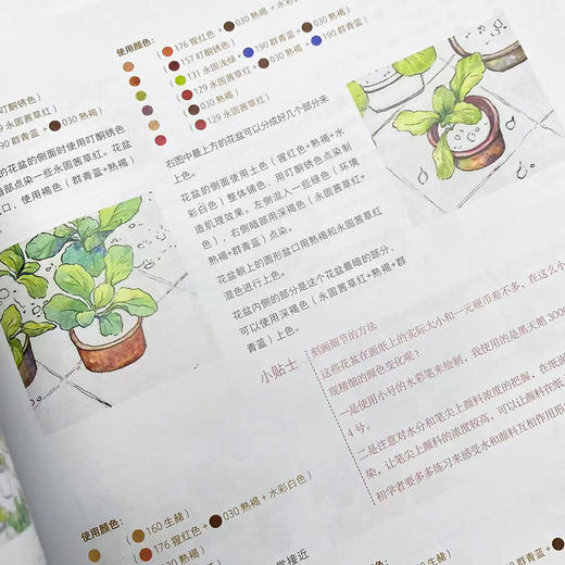令人心动的钢笔淡彩手绘插画教程 金金水彩画教程书水彩绘暖系淡彩入门课钢笔淡彩水彩插画手绘水彩临摹画册带上画笔去旅行 商品图4
