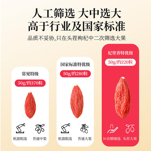 【冬季滋补】杞里香300g（15罐）礼盒装220粒中宁枸杞泡茶送礼精装精选中宁枸杞 商品图4