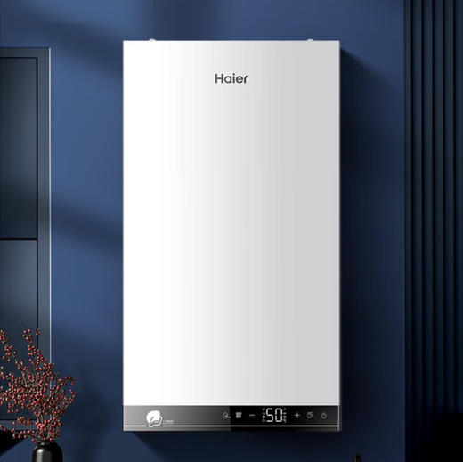 海尔（Haier）壁挂炉 LL1PBD26-PN3(T)U1 冷凝式 商品图0