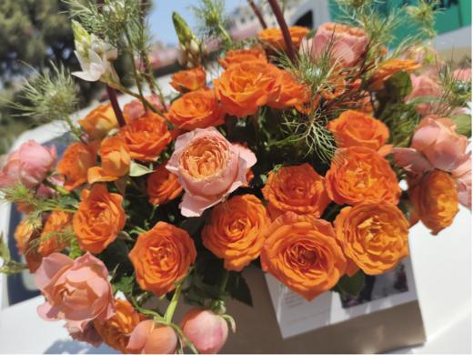 手拎兜版橙色芭比（拼团） 商品图0