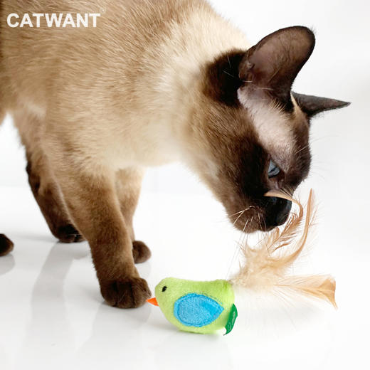 猫咪旺 猫薄荷木天蓼小鸟小老鼠两只装猫咪爱玩 商品图2