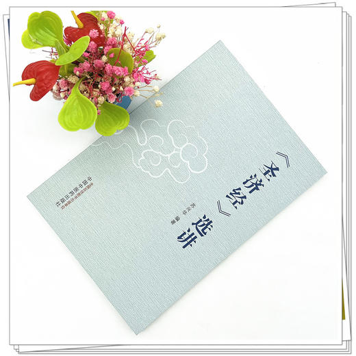 《圣济经》选讲 苏兴华 编著 中国中医药出版社 圣济总录 内经 书籍 商品图2