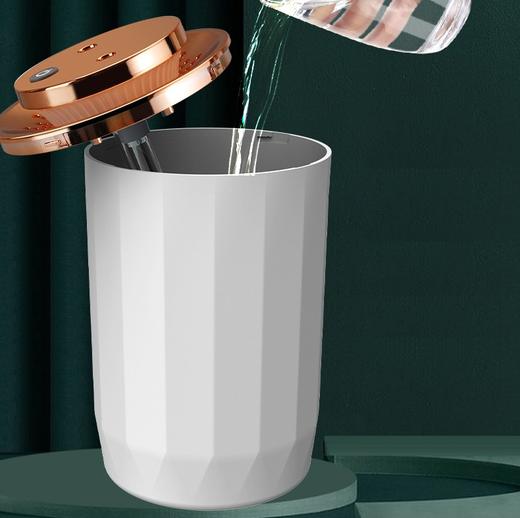 加湿器家用香薰大容量双喷头大雾车载大容量跑马灯桌面US B卧室 商品图3