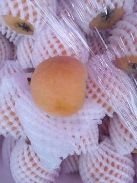 XZG-云南高山枇杷 中大混装，甜！ 2斤/盒～28元