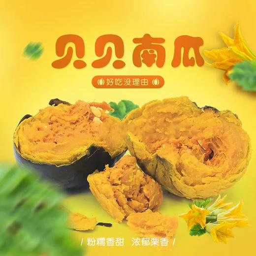 【秒杀 】贝贝南瓜4.5斤（单果150g+） 商品图0