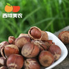 西域美农 开口大榛子 150g*2袋 商品缩略图3