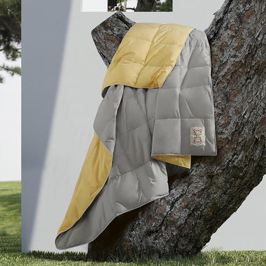 水星家纺 敦煌系列 星国潮羽绒水洗抗菌夏被 200×230cm 商品图2