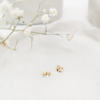 订购8周到｜Elise Tsikis-Xapa-Yaya 耳环［法国设计师］ 商品缩略图3