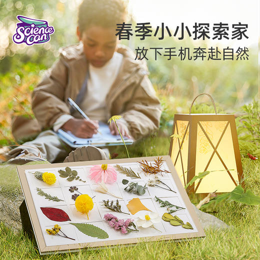 【云优选】科学罐头植物手工课 幼儿园手工制作DIY材料包 创意玩具 孩子的自然美育课 给孩子的艺术启蒙（拆封后不支持7天无理由退货，介意慎拍） 商品图3