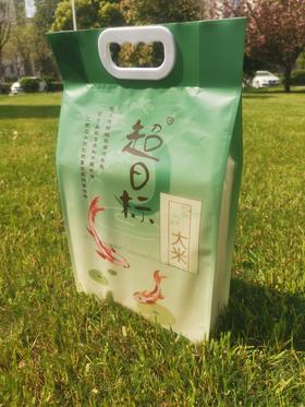 绿仙子超日标大米 南粳46 软香米粳米粥米珍珠米寿司米5kg