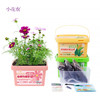 小花农小小种植园幼儿园创意伴手礼品小学生奖品diy玩具 商品缩略图12