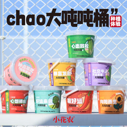 小花农超大吨吨桶种植盆栽幼儿园手工向日葵草莓diy养花养草礼物 商品图3