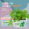 小花农小小种植园幼儿园创意伴手礼品小学生奖品diy玩具 商品缩略图3
