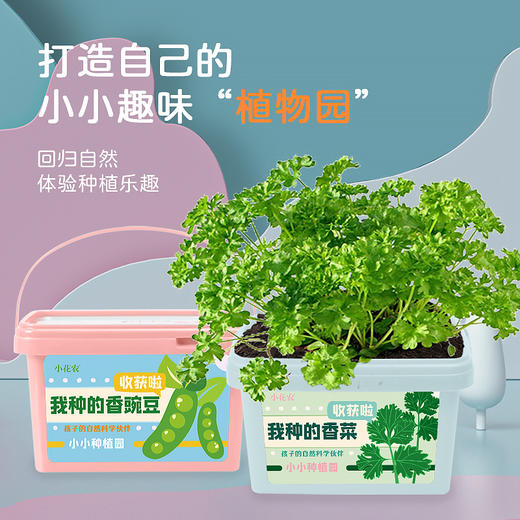 小花农小小种植园幼儿园创意伴手礼品小学生奖品diy玩具 商品图3