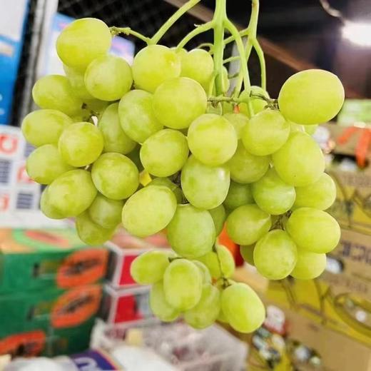 小蜜蜂葡萄（±100g） 商品图0