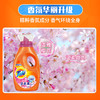 汰渍丨套装B：汰渍2合1护色防串色樱花洗衣液700g*3瓶丨SY 商品缩略图2