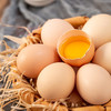 天农清远鸡鲜鸡蛋30枚 商品缩略图3
