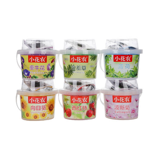 小花农栽培罐儿童玩具自动吸水盆DIY种子种植 商品图1