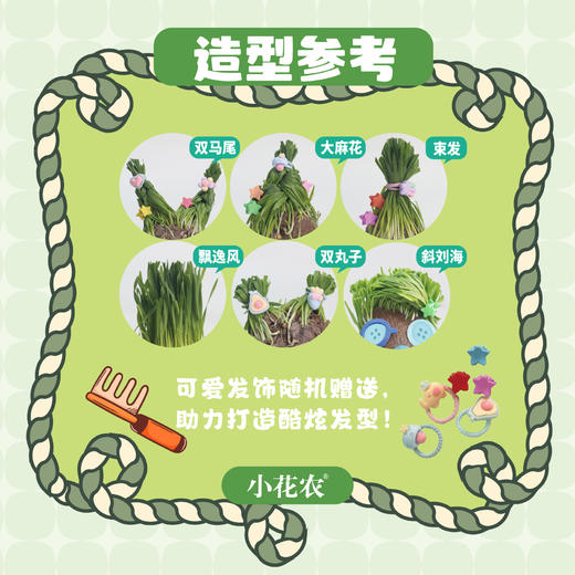 小花农魔发造型师创意DIY幼儿园学校儿童小盆栽植物栽培草头娃娃 商品图2