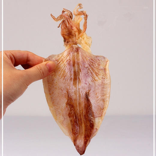 【湛江帮扶】驻家鲜 鱿鱼干 250g/500g 商品图4