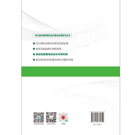 退运铅酸蓄电池活化与再利用/电力废弃物资源化及无害化应用技术丛书 商品图2