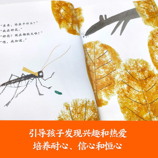 【精装】等一朵花开 商品图3