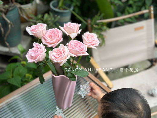 【AB级香水宝塔玫瑰.第二份减10元】10支/份 长约60-65cm 采用无土栽培技术培育 商品图7