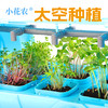 小花农太空种植仓儿童盆栽幼儿园教材学生玩具DIY 商品缩略图2