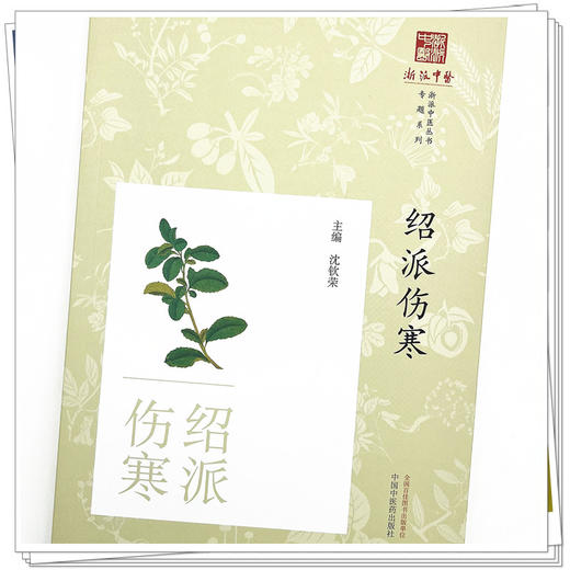 绍派伤寒 沈钦荣 主编 中国中医药出版社 浙派中医丛书专题系列 书籍 伤寒论 商品图4