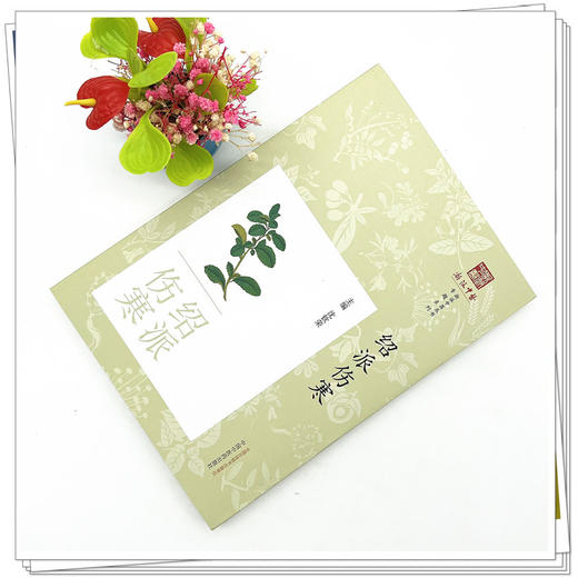 绍派伤寒 沈钦荣 主编 中国中医药出版社 浙派中医丛书专题系列 书籍 伤寒论 商品图2
