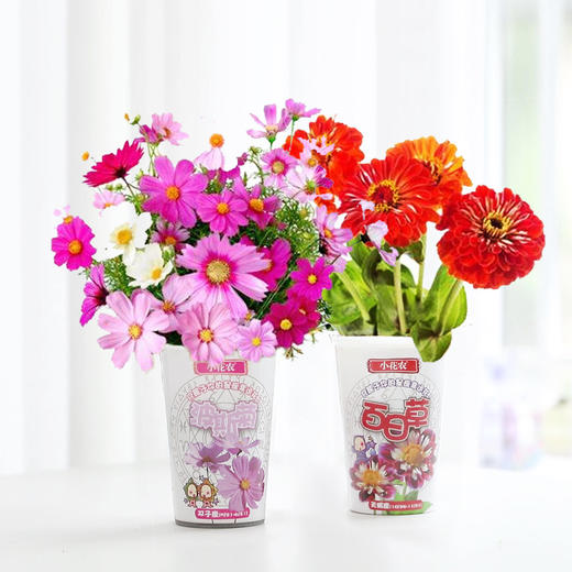 小花农十二星座幸运花 创意益智手工DIY盆栽stem套装植物学生奖品 商品图1