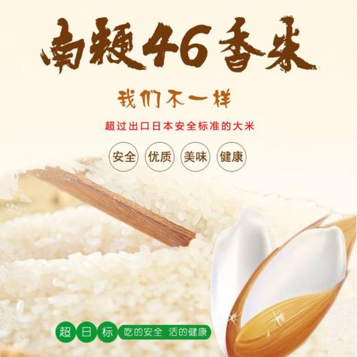 绿仙子超日标大米 南粳46 软香米粳米粥米珍珠米寿司米5kg 商品图2