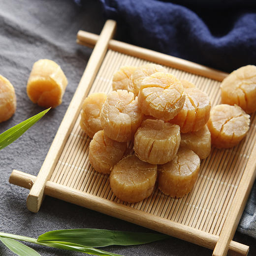 【湛江帮扶】驻家鲜 干贝 500g 商品图2