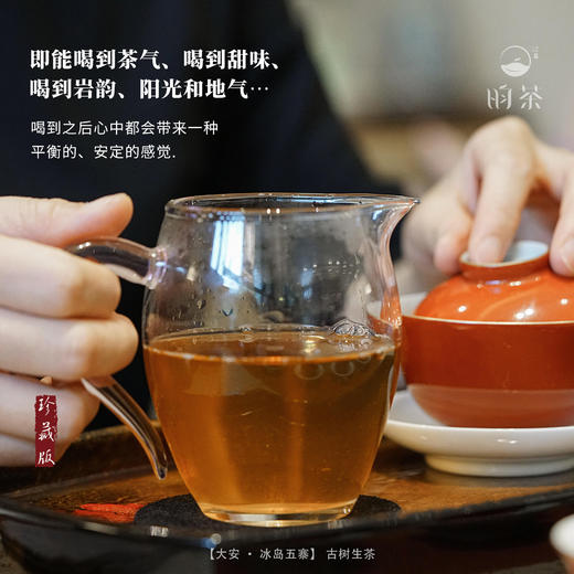 【昀茶·普洱系列】大安·冰岛五寨混合普洱生茶 357克/饼 甘甜鲜爽 汤质饱满 底香持久 融各寨之优点于一体 丰厚平衡 商品图4