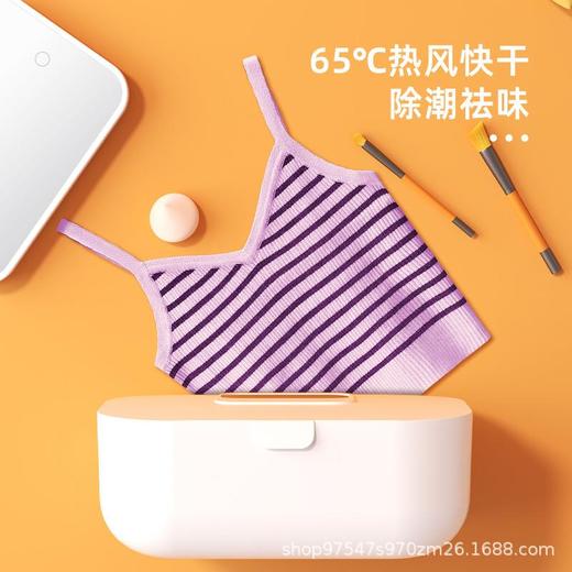 德国cvraw内衣消毒机家用小型烘干机内衣裤紫外线消毒器干衣盒 商品图3