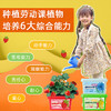 小花农小小种植园幼儿园创意伴手礼品小学生奖品diy玩具 商品缩略图5