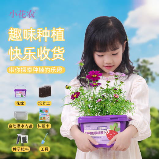 小花农小小种植园幼儿园创意伴手礼品小学生奖品diy玩具 商品图9