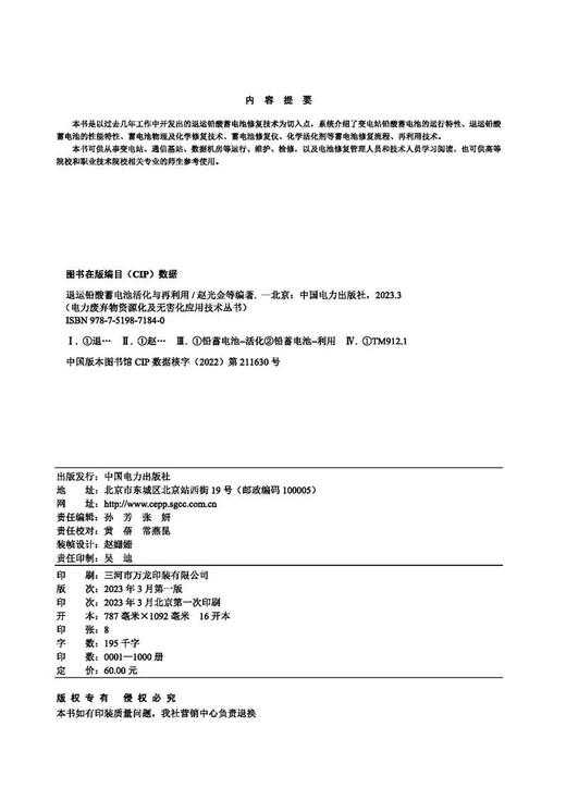 退运铅酸蓄电池活化与再利用/电力废弃物资源化及无害化应用技术丛书 商品图3