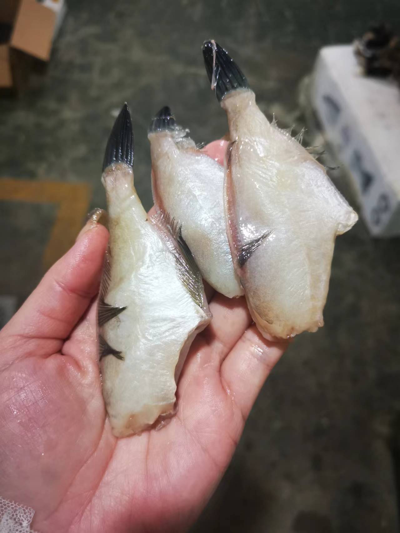 大连当地扒皮鱼 ，没有冰衣，去头去内脏去皮，适合炸着吃的鱼，小规格介意者慎拍，全国包邮