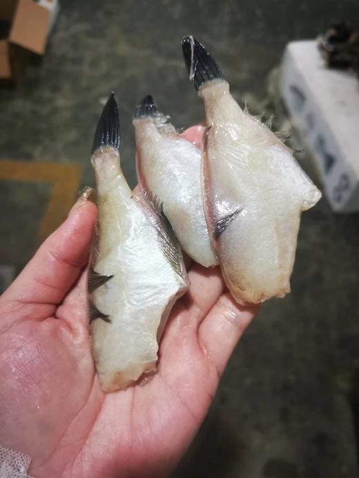 大连当地扒皮鱼 ，没有冰衣，去头去内脏去皮，适合炸着吃的鱼，小规格介意者慎拍，全国包邮 商品图0